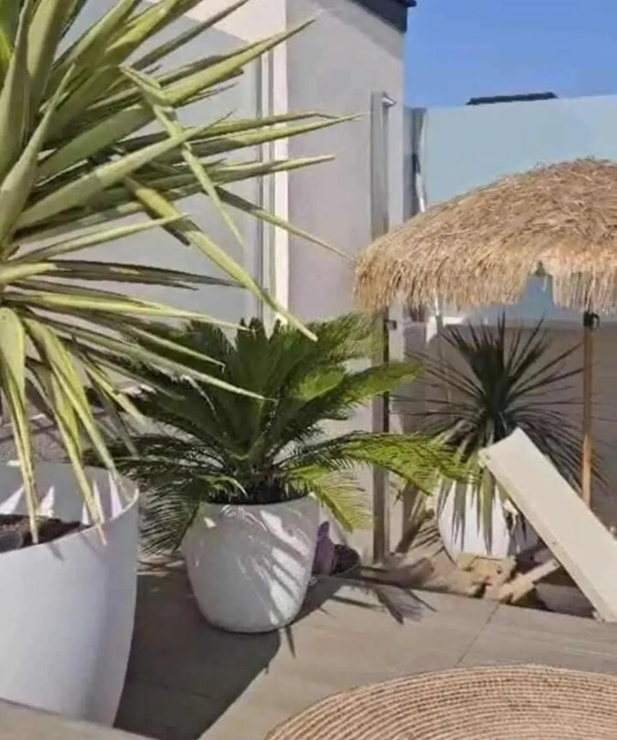 2 Bedrooms - Private Rooftop And Pool - Parking Palma de Mallorca 0*,