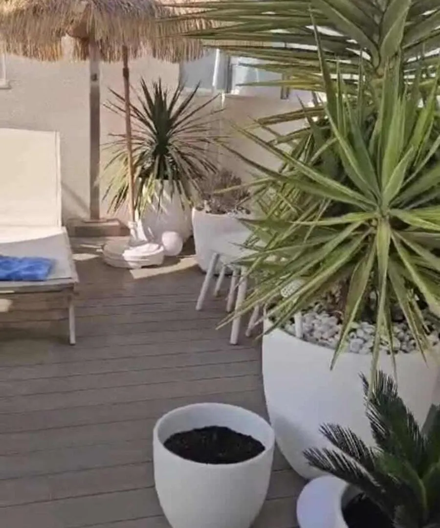 2 Bedrooms - Private Rooftop And Pool - Parking Palma de Mallorca 0*,